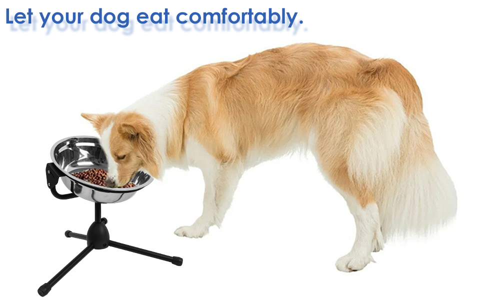 Let your dog eat comfortably.