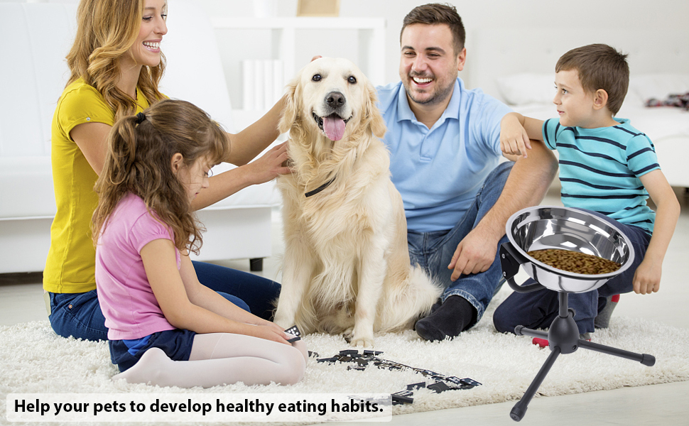 You dog will enjoy eating with this bowl.