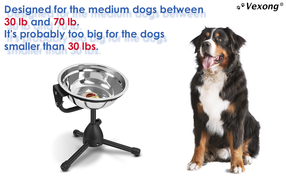 Ciotola per cani di taglia media