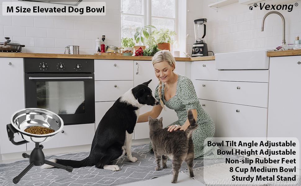 M Size Dog Bowl