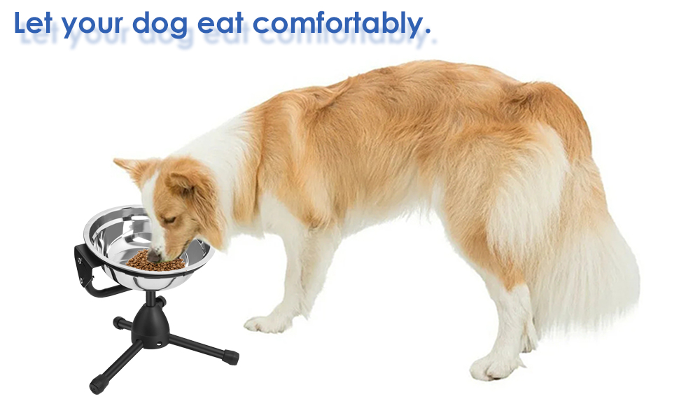 Let your dog eat comfortably.