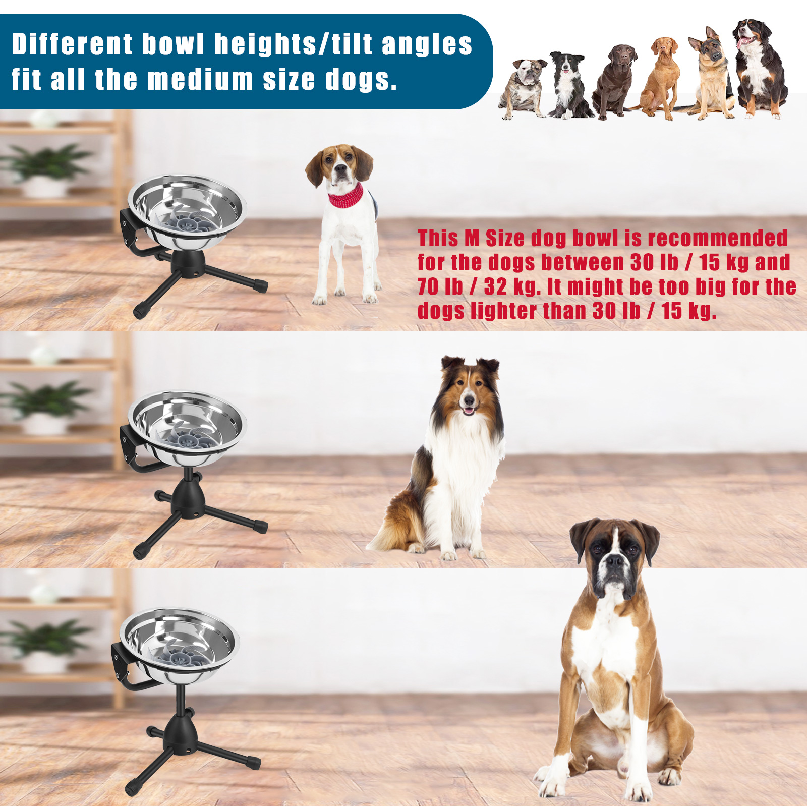 Bowl Height Adjustable